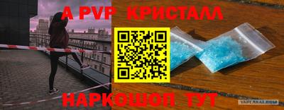 шишки Заводоуковск