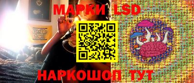 шишки Заводоуковск