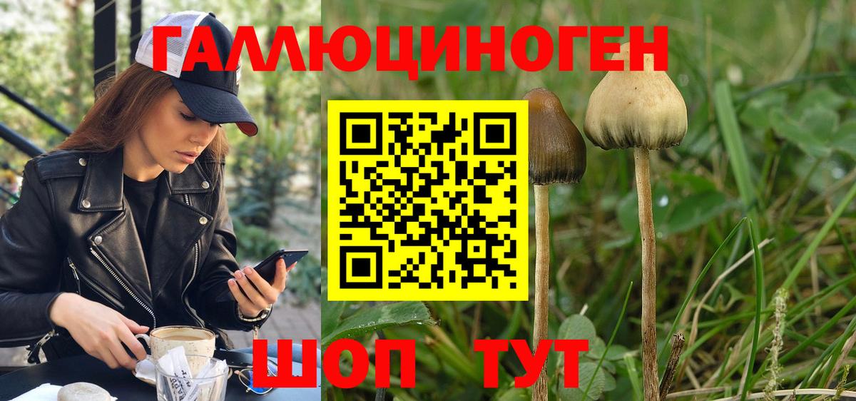 Лабинск  Галлюциногенные грибы MAGIC MUSHROOMS  Вход с VPN 