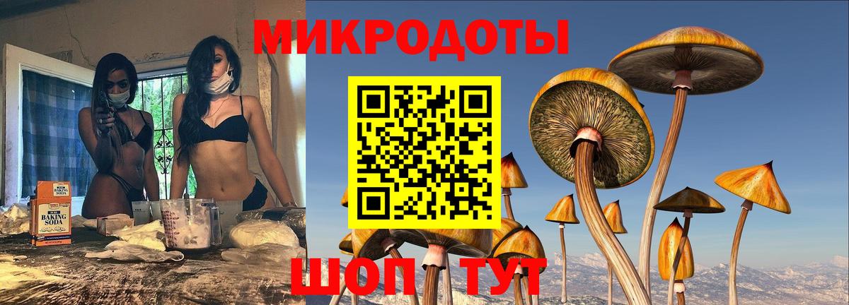 Псилоцибиновые грибы прущие грибы Лабинск